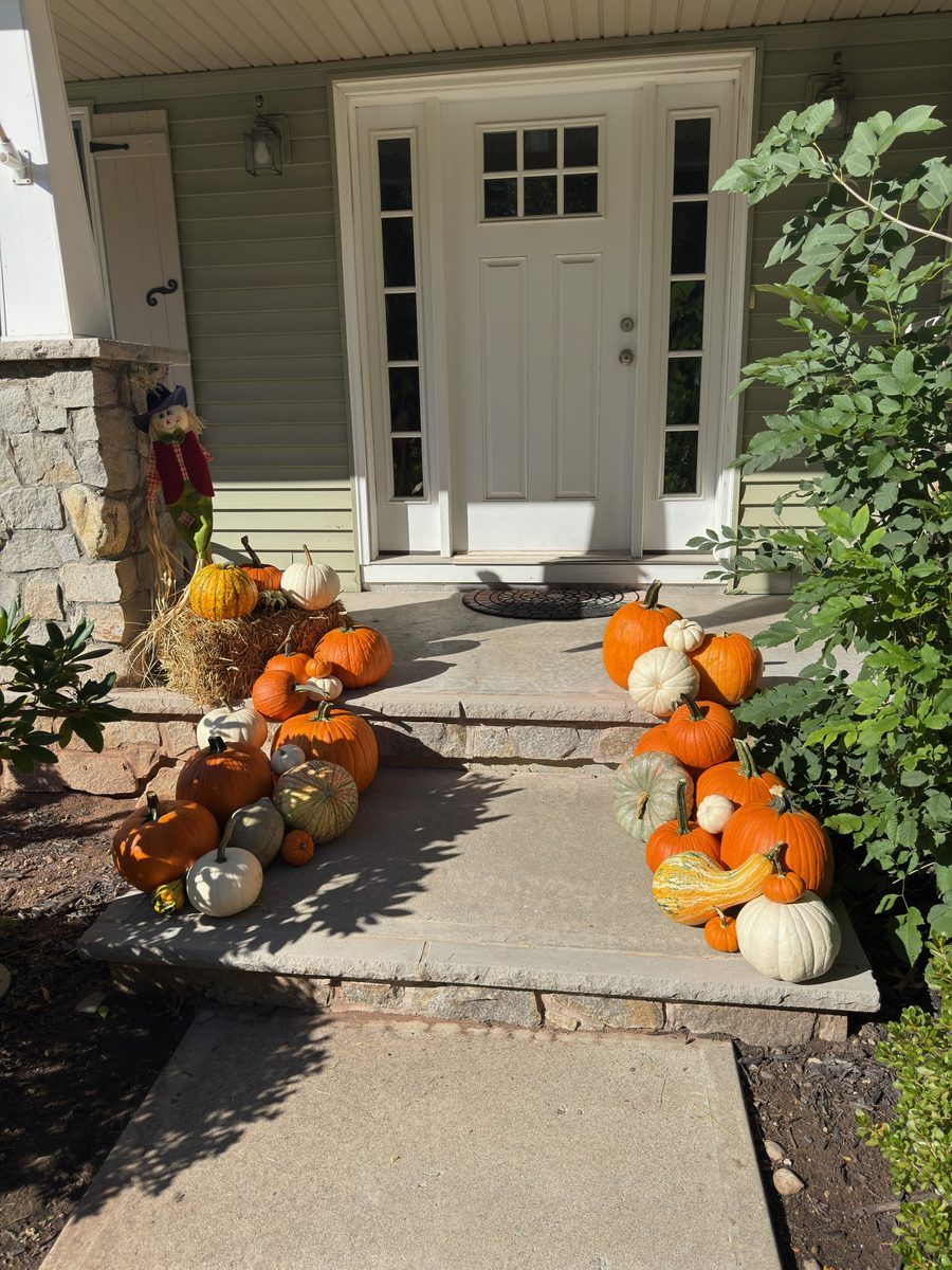 Pumpkin porch display lining a front walkway up to a white door