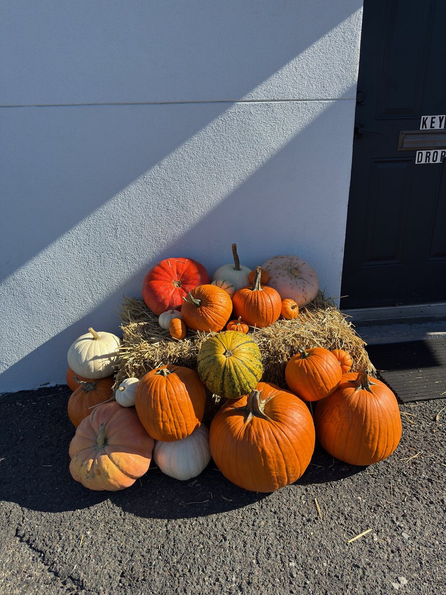 A straw bale piled with orange, white, and heirloom pumpkins at a business entrance